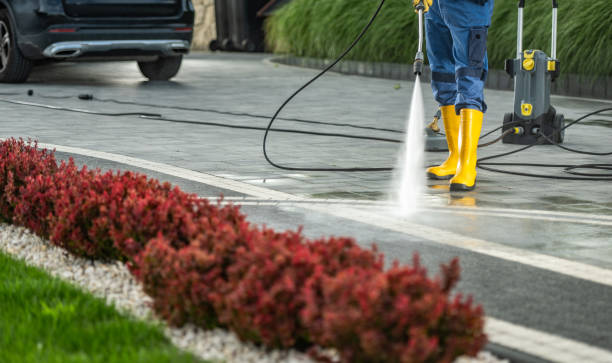 Best Sidewalk and Walkway Cleaning  in Chandler, AZ
